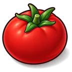 Tomato